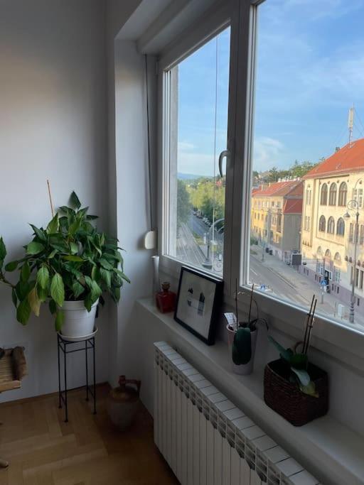 Spacious 3Br/2Bt Apartment With A/C In City Center Zagreb Bagian luar foto